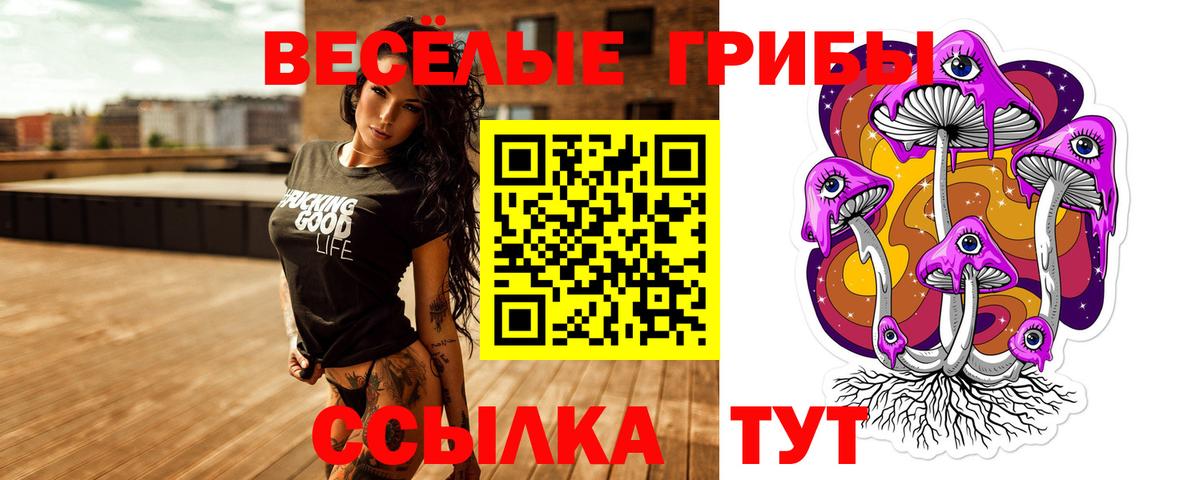Псилоцибиновые грибы Magic Shrooms Советск