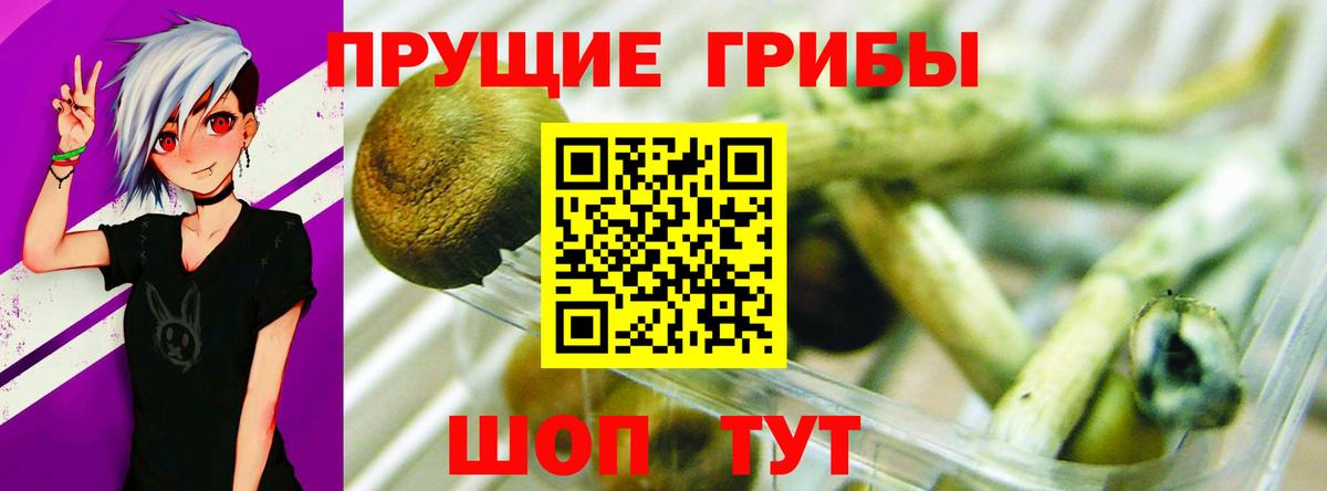 Галлюциногенные грибы мицелий  Вход с VPN  Галлюциногенные грибы Magic Shrooms  Советск 