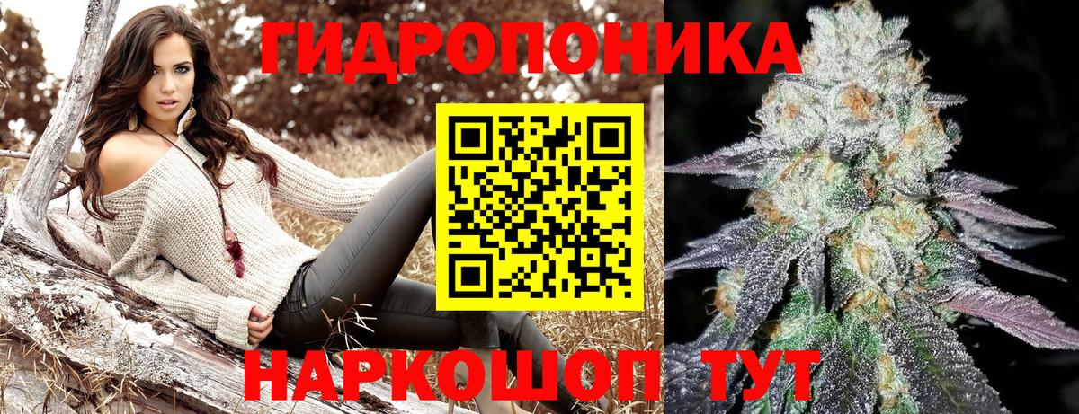 Бошки Шишки ГИДРОПОН Советск